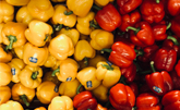 Capsicum